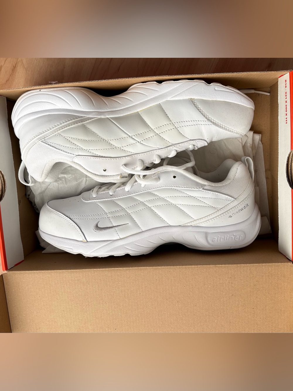 Nike Walker ASV Shoes.